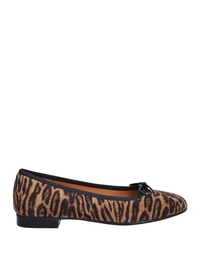 Leopardo Arabica Suede Ballerina - Billi Bi